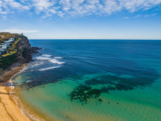 istock A Winter morning at the beach 1591420316