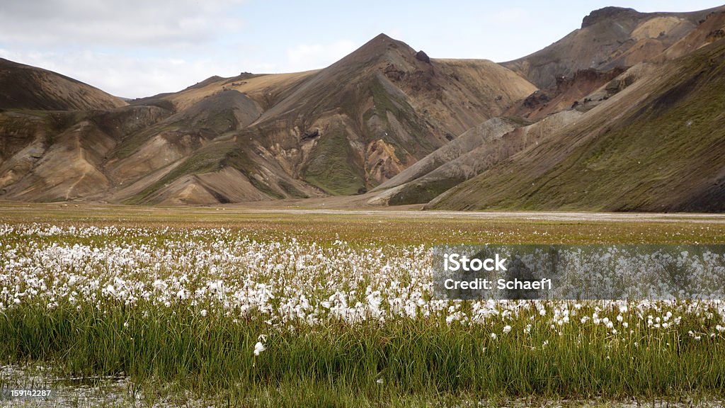Landmannalaugar и поле торфа чистящие - Стоковые фото Fjallabak Nature Reserve роялти-фри