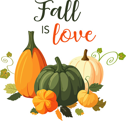 Vector illustration of various pumpking pile with leaves on white backgtound. Fall is love text. Various pumpkins on white backgtound with lettering