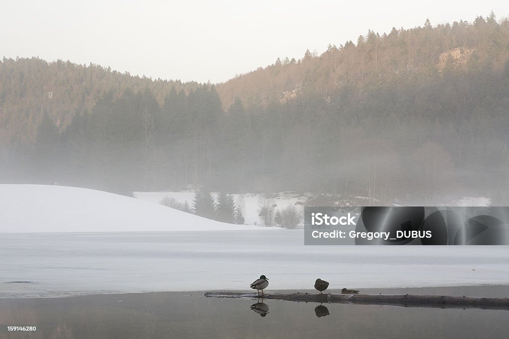 Sueño de la naturaleza de invierno - Foto de stock de Agua libre de derechos