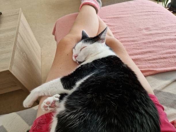 istock The leisure time photo 1591500721