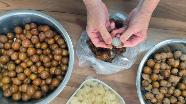 istock Hands peeling longans on wooden table, working in the kitchen, preparing raw food for making Thai dessert, sweet sticky rice with longan fruit and coconut, top view 1591507566