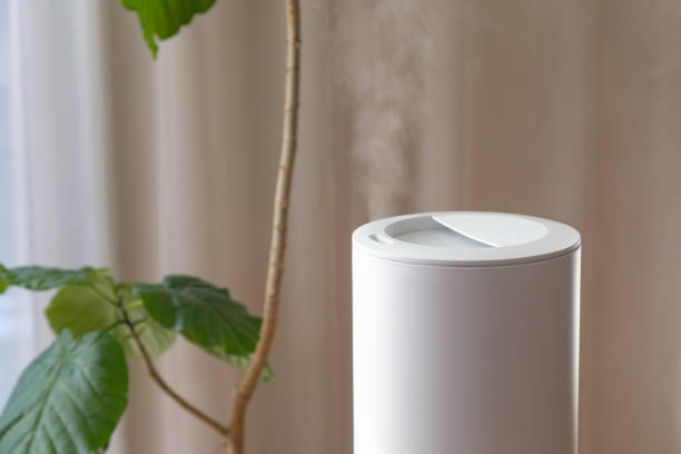 istock A humidifier in the living room. 1591512403