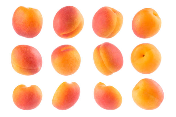 abricot orange mûr avec côté rose - ensemble riche, fruits entiers, différents côtés isolés sur fond blanc. fruits frais et juteux d’été comme éléments de design. - georgia peach photos et images de collection