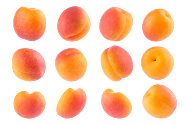 istock Ripe orange apricot with pink side - rich set, whole fruit, different sides isolated on white background. Summer fresh juicy fruits as design elements. 1591518207