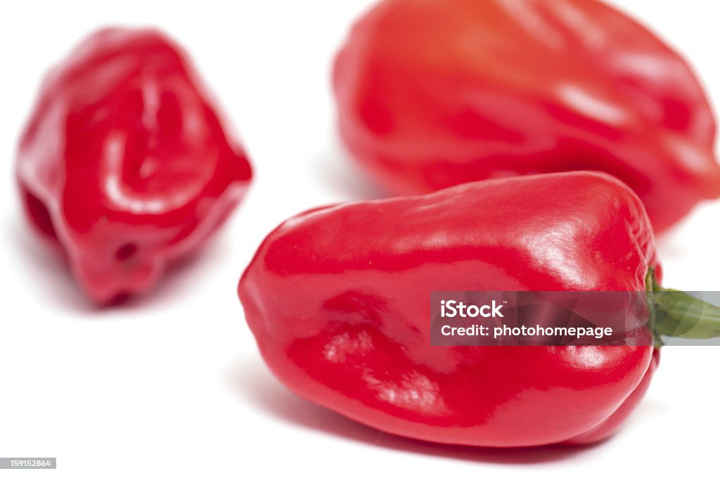Habaneros rosse Peperoncini piccanti - Foto stock royalty-free di Alimentazione sana