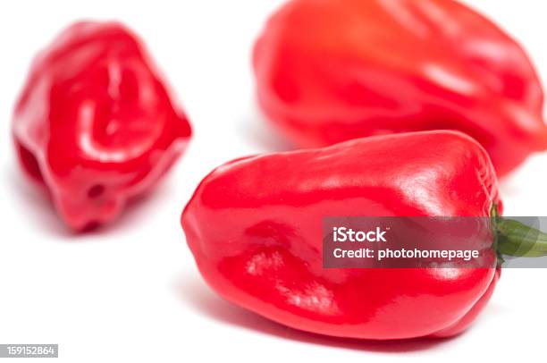 Ostry Czerwony Chili Peppers Habaneros - zdjęcia stockowe i więcej obrazów Bez ludzi - Bez ludzi, Czerwona papryka chili, Czerwony