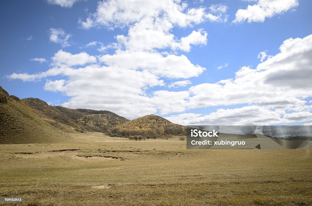 Mountain grasslands - Lizenzfrei Anhöhe Stock-Foto