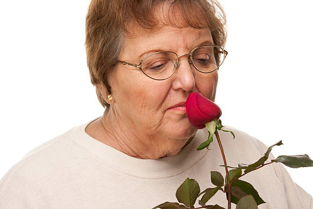 istock Attractive Senior Woman with Red Rose 159153623