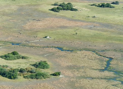 An aerial view of a river in the breathtaking Okavango Delta, Botswana, Africa