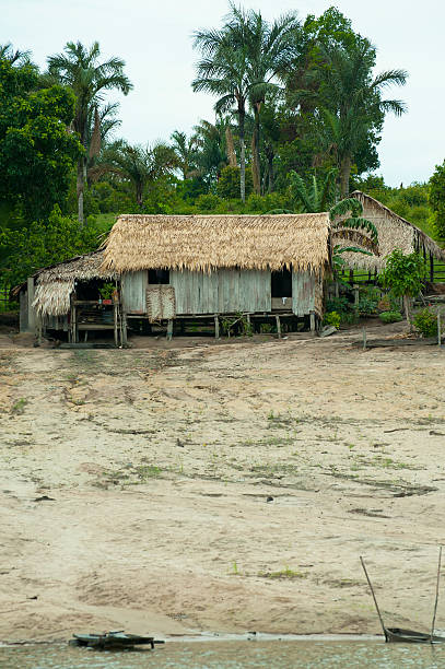 istock Ribeirinho's inhabitation 159158261