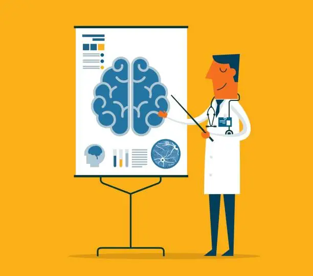 Vector illustration of Doctor gives a training lecture about anatomy - human brain