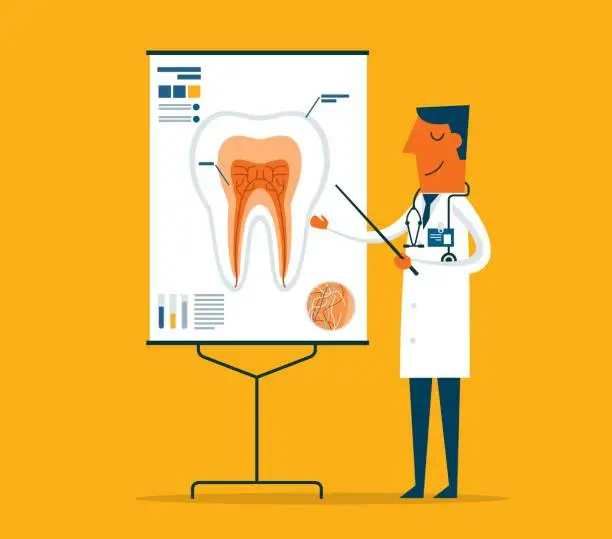 Vector illustration of Doctor gives a training lecture - Dental Care