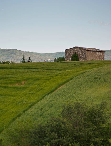 istock Isolated old casale in Tuscany 159160770