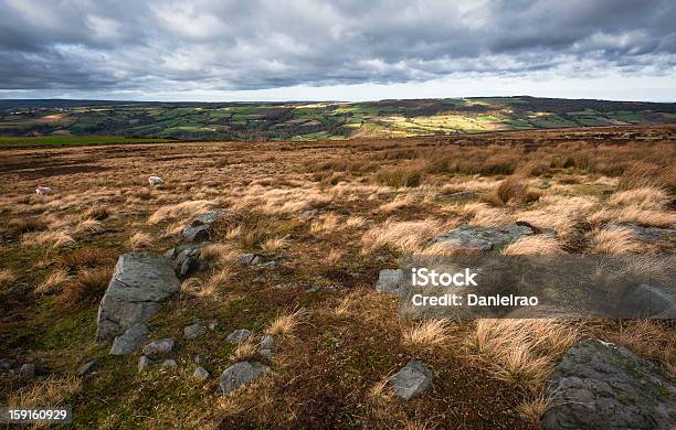 North York Moors Grosmont Yorkshire Uk Stock Photo - Download Image Now - Autumn, Cotton Grass, England