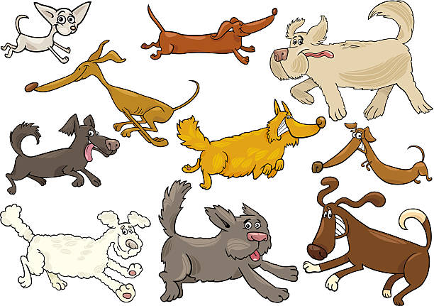 illustrazioni stock, clip art, cartoni animati e icone di tendenza di fumetto allegro set di cani in - long haired chihuahua mixed breed dog purebred dog long hair