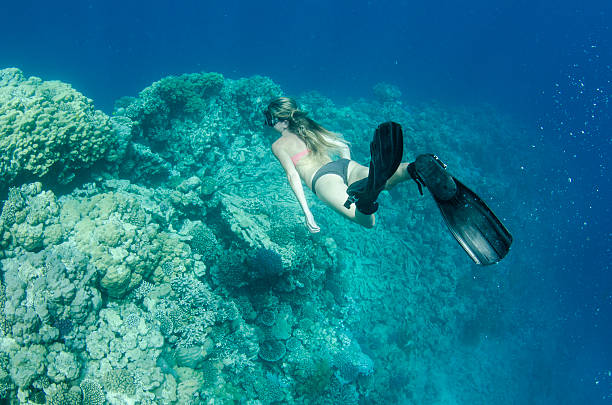 istock woman snorkeling on a coral reef 159164056
