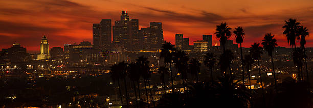 istock Los Angeles Palm Sunset 159164058