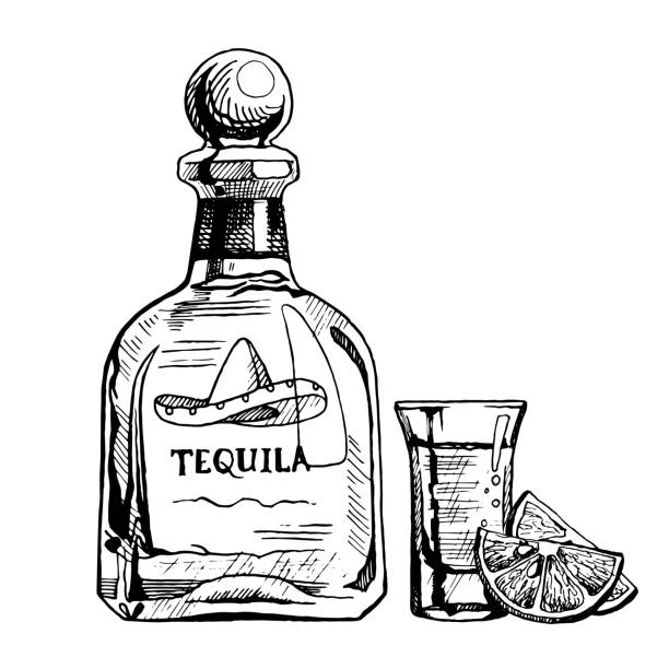illustrations, cliparts, dessins animés et icônes de bouteille de tequila dessinée à la main avec un verre et des tranches de citron. illustration vectorielle, croquis à l’encre - tequila spiritueux