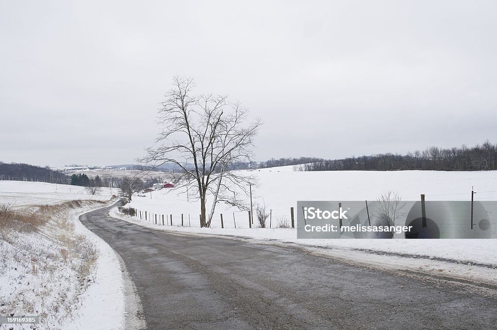 Ländliche Straße in den Schnee - Lizenzfrei Anhöhe Stock-Foto