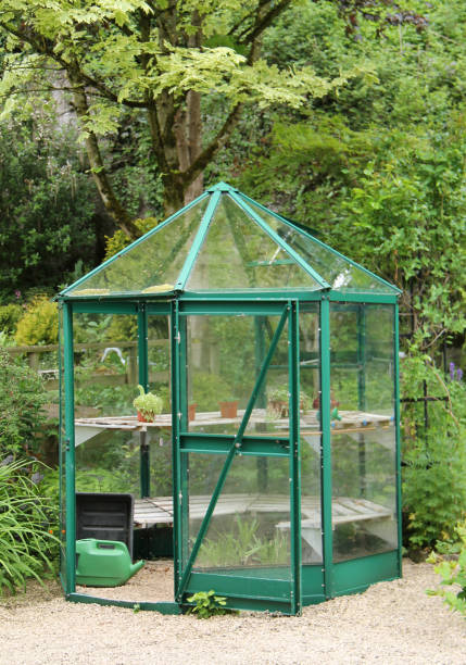 istock Glass Garden Greenhouse. 1591700040