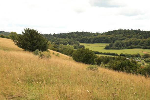 istock Pewley Down Guildford Surrey England 1591712189