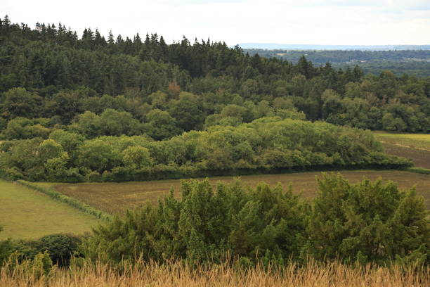 istock Pewley Down Guildford Surrey England 1591712203