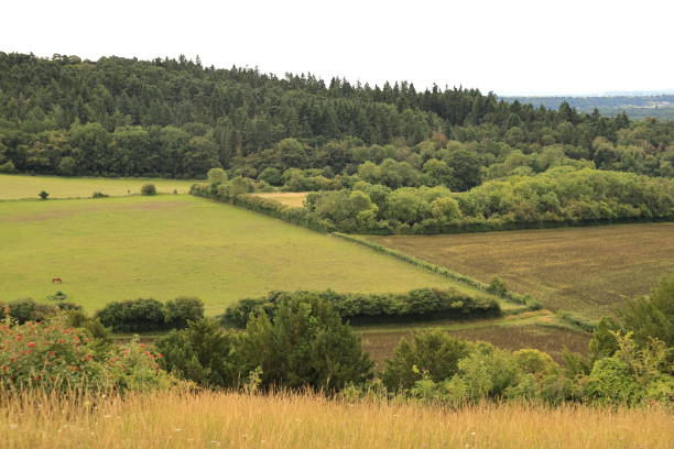 pewley down guildford surrey anglia - surrey hill guildford cloudscape zdjęcia i obrazy z banku zdjęć