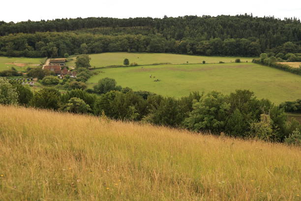 pewley down guildford surrey anglia - surrey hill guildford cloudscape zdjęcia i obrazy z banku zdjęć