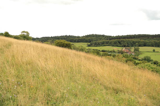 pewley down guildford surrey anglia - surrey hill guildford cloudscape zdjęcia i obrazy z banku zdjęć