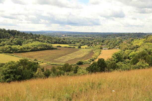 pewley down guildford surrey anglia - surrey hill guildford cloudscape zdjęcia i obrazy z banku zdjęć