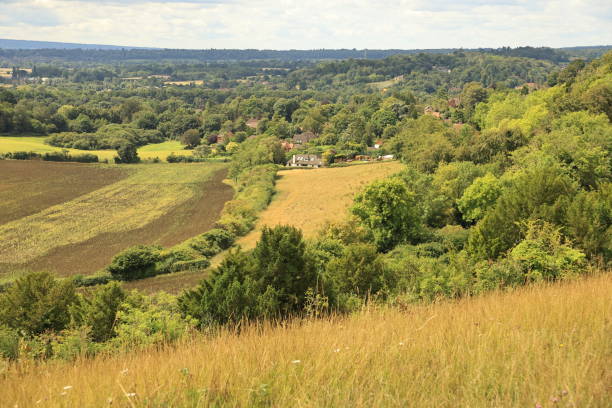 pewley down guildford surrey anglia - surrey hill guildford cloudscape zdjęcia i obrazy z banku zdjęć