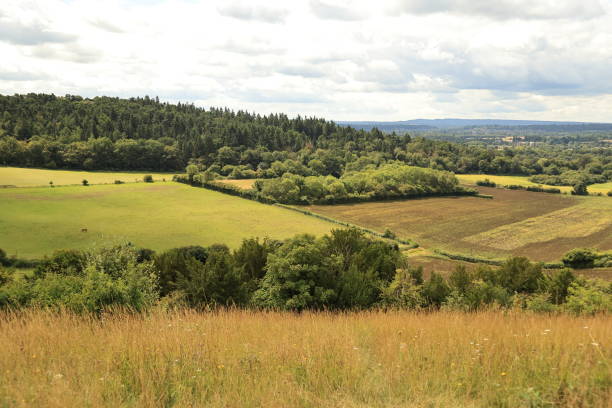 pewley down guildford surrey anglia - surrey hill guildford cloudscape zdjęcia i obrazy z banku zdjęć