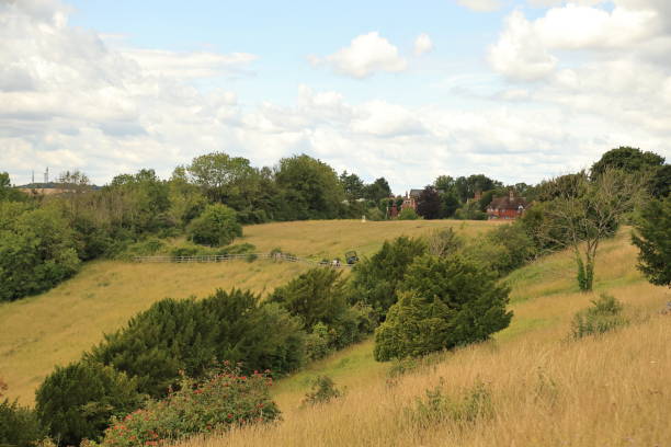 istock Pewley Down Guildford Surrey England 1591712434