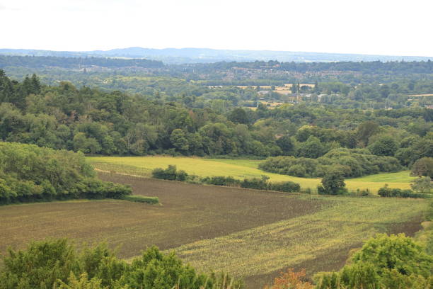 pewley down guildford surrey anglia - surrey hill guildford cloudscape zdjęcia i obrazy z banku zdjęć