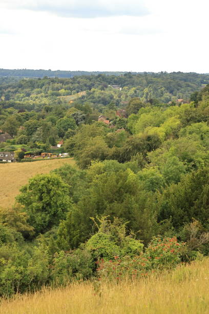 istock Pewley Down Guildford Surrey England 1591712441