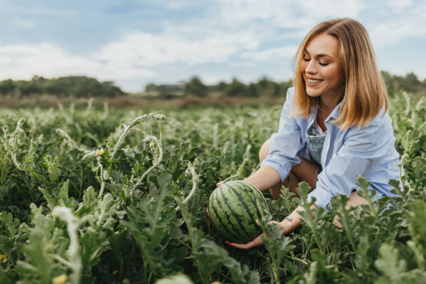 istock Young Farmer's Watermelon Pride 1591720091