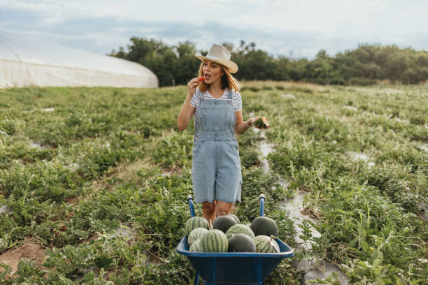istock Cultivating Sweet Success Among Watermelons 1591723958