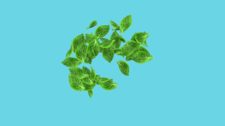 3D animation of fresh green leaves swirled and spread out, Alpha mate