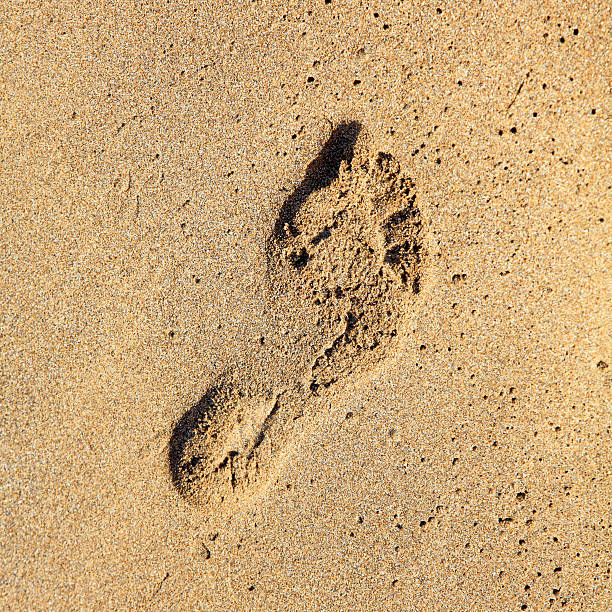 istock Footprint in the sand. 159175892