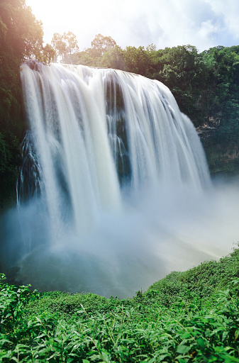 Subtropical rainforest of Nepal on the Annapurnas route