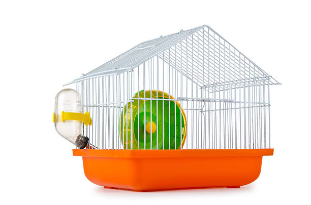 istock Bird cage isolated on the white background 159176595