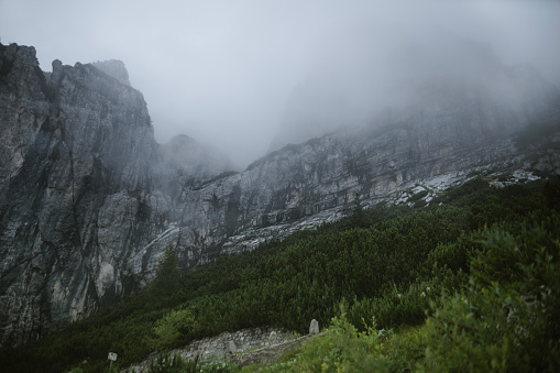 While slowly walking towards the top of the mountain you see some kind of mist coming down