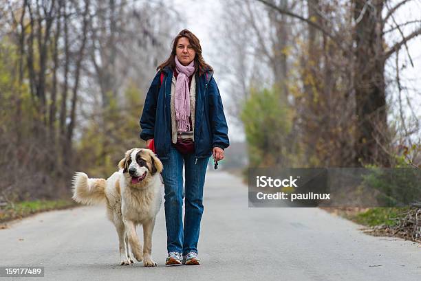 Photo libre de droit de Jeune Fille Marche Et La Formation De Son Chien De Berger Bucovine banque d'images et plus d'images libres de droit de Chien