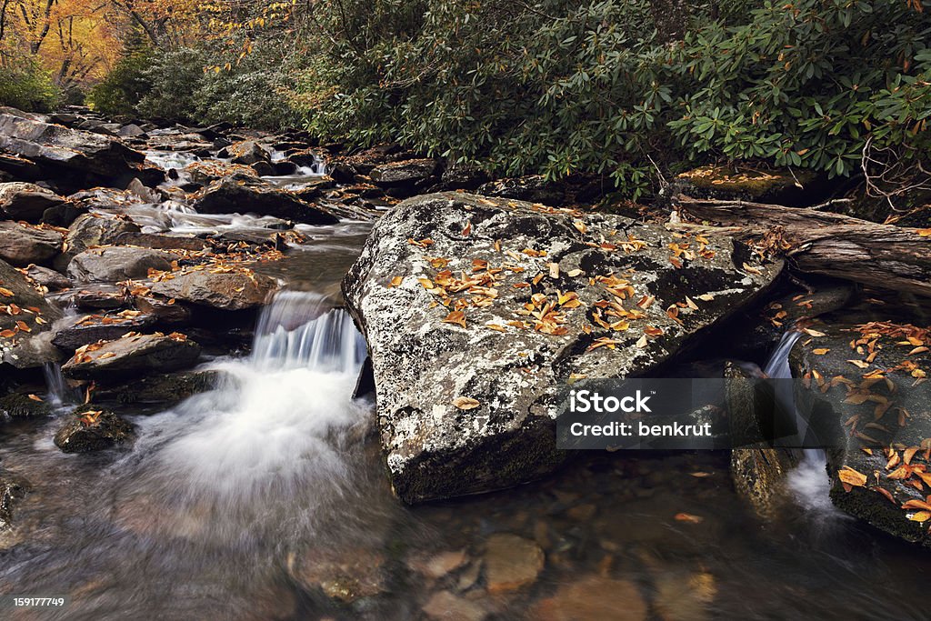 Matin dans les Smoky Mountains National Park - Photo de Automne libre de droits