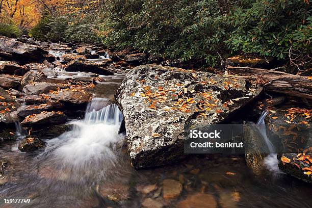 Photo libre de droit de Matin Dans Les Smoky Mountains National Park banque d'images et plus d'images libres de droit de Automne - Automne, Cascade, Destination de voyage
