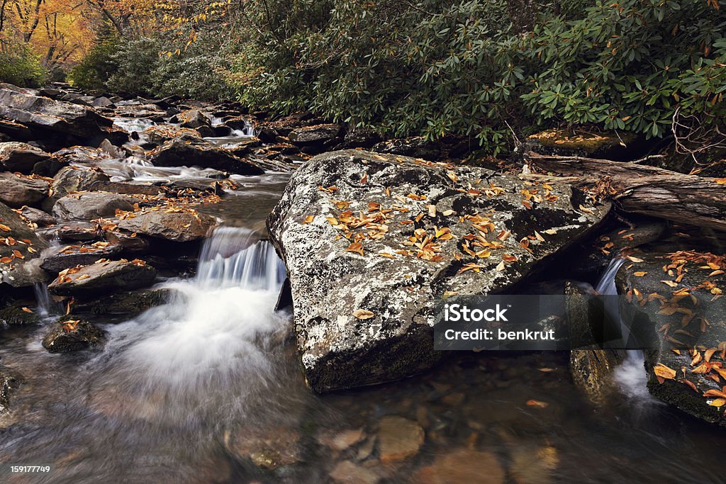 Mattina nel Parco nazionale Montagne Fumose - Foto stock royalty-free di Acqua