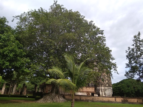 Unique site from the Sukhothai Kingdom from which King Ram Kham Haeng created the Thai language