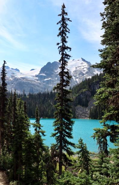 istock Turquoise lake and mountains with snow 1591853230