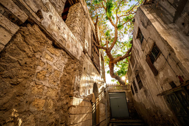 Scenic and idyllic view of a tree in the courtyard of a traditional residential townhouse in the historic district Al-Balad, Jeddah, KSA, Saudi Arabia Al-Balad, Jeddah, Saudi Arabia - March 16th 2023: Beautiful view of a typical residential neighborhood in the historic Al-Balad district. Although many areas visible to the tourist eye have been renovated in recent years, these types of run-down neighborhoods are still everywhere. Despite dirt and grime everywhere, they are still charming. This photo shows the entrance to a garden overlooked by a large tree with lush foliage. No people visible. saudi arabia jeddah landscape stock pictures, royalty-free photos & images